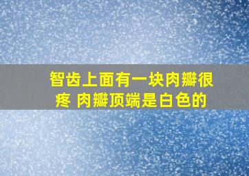 智齿上面有一块肉瓣很疼 肉瓣顶端是白色的